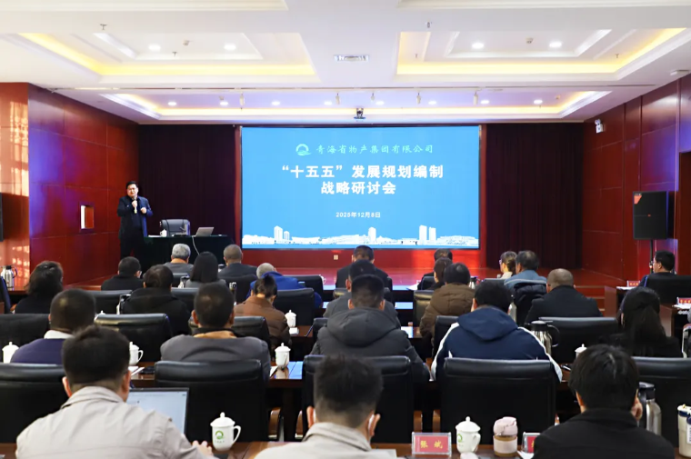 聚勢謀遠 破局立新&mdash;&mdash;集團召開&ldquo;十五五&rdquo;發展規劃編制戰略研討會